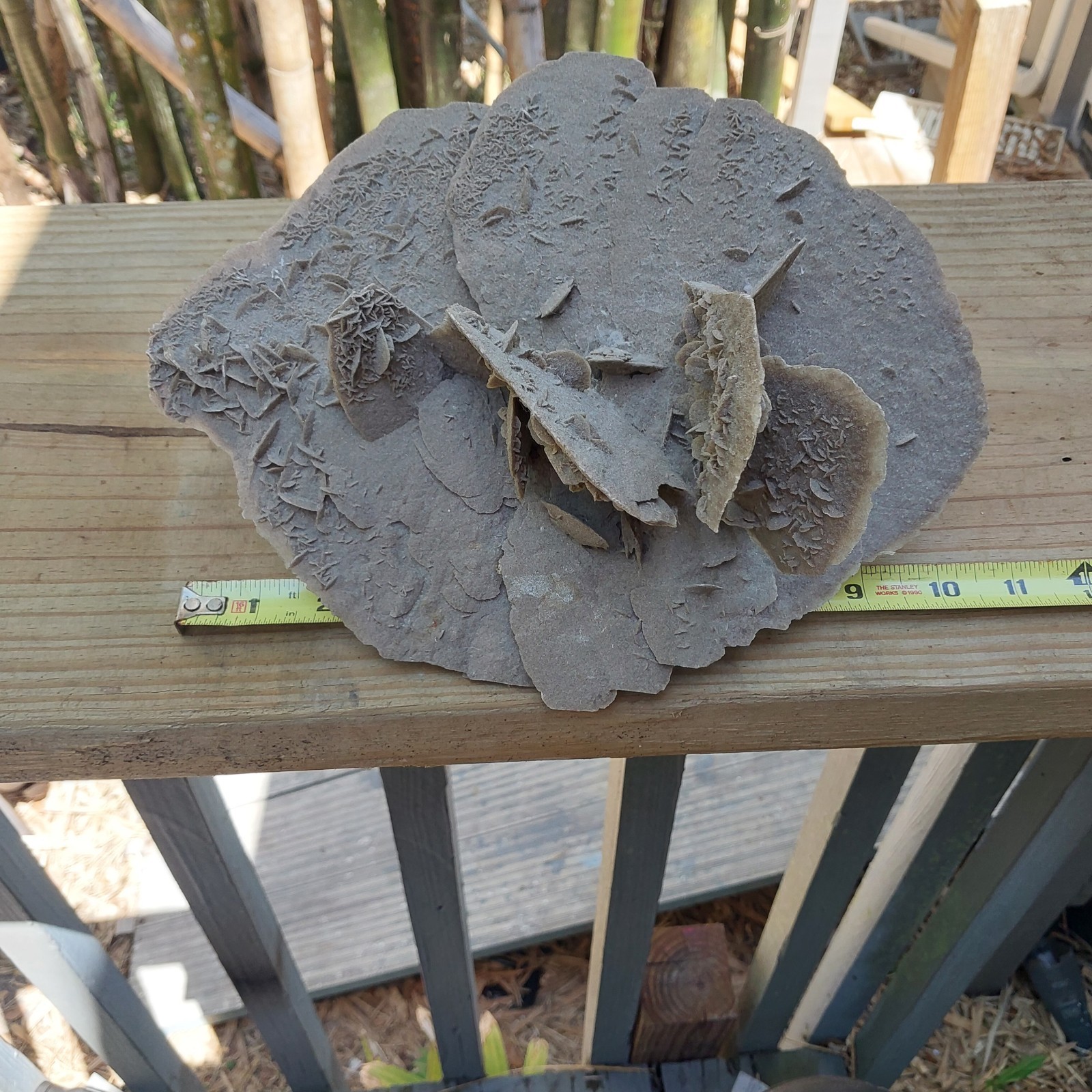 Desert Rose Selenite Gypsum Crystal Formation Mineral Specimen 12″ By 7″