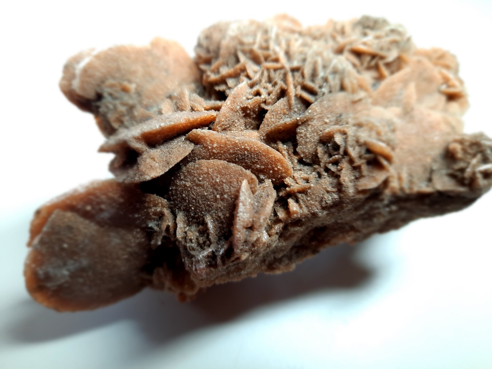 LARGE DESERT ROSE GYPSUM 6 1/4 x 3 1/2 x 2 1/4 Rock Mineral Crystal Stone