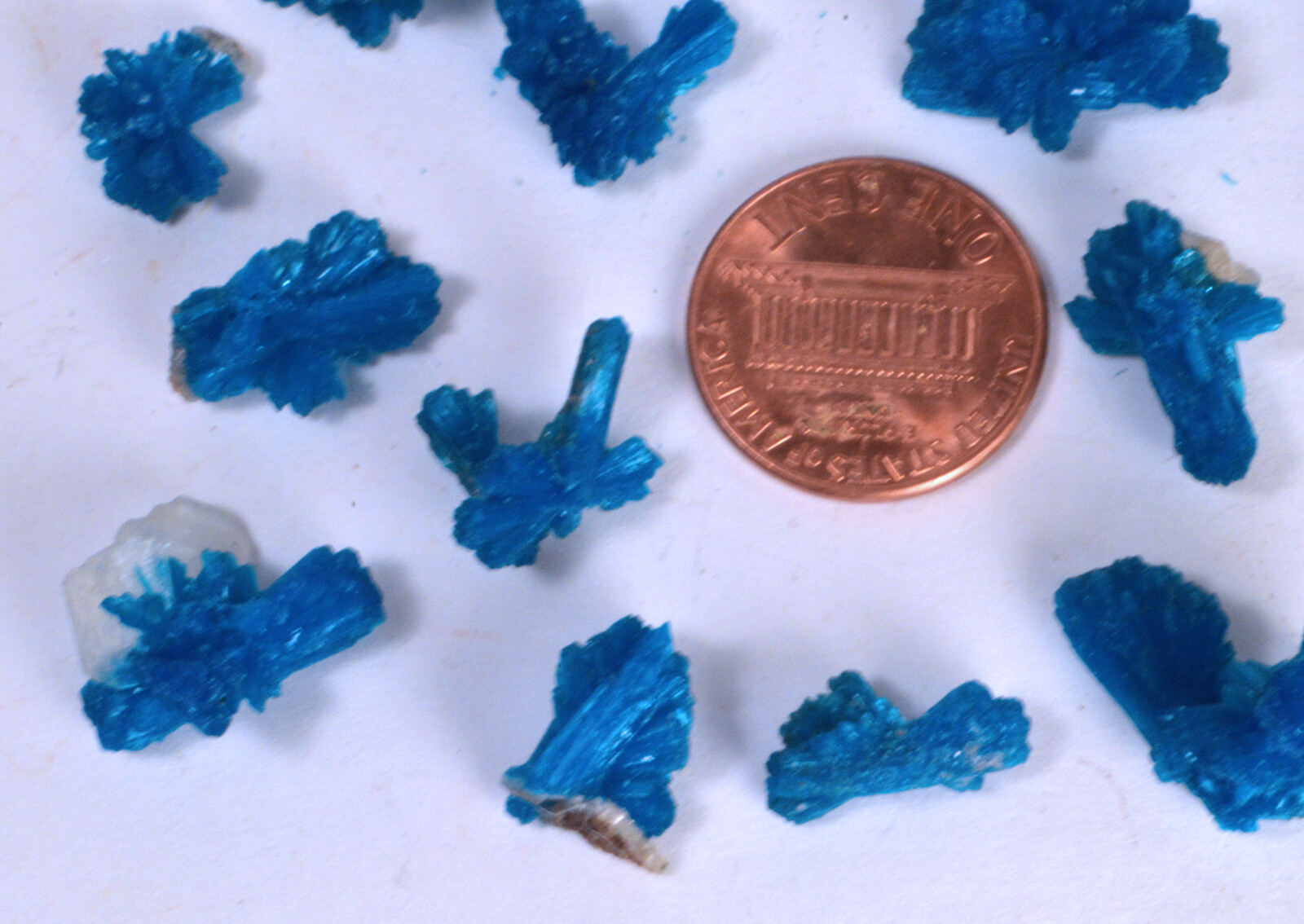#9080 Cavansite-India–Large “Bowties”/ Unusual shapes [ONE PIECE ONLY]