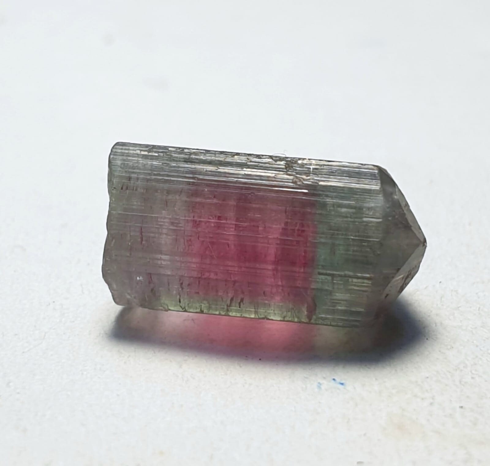 Saturated Bi Color Terminated Tourmaline Crystal From Afganistan 🇦🇫