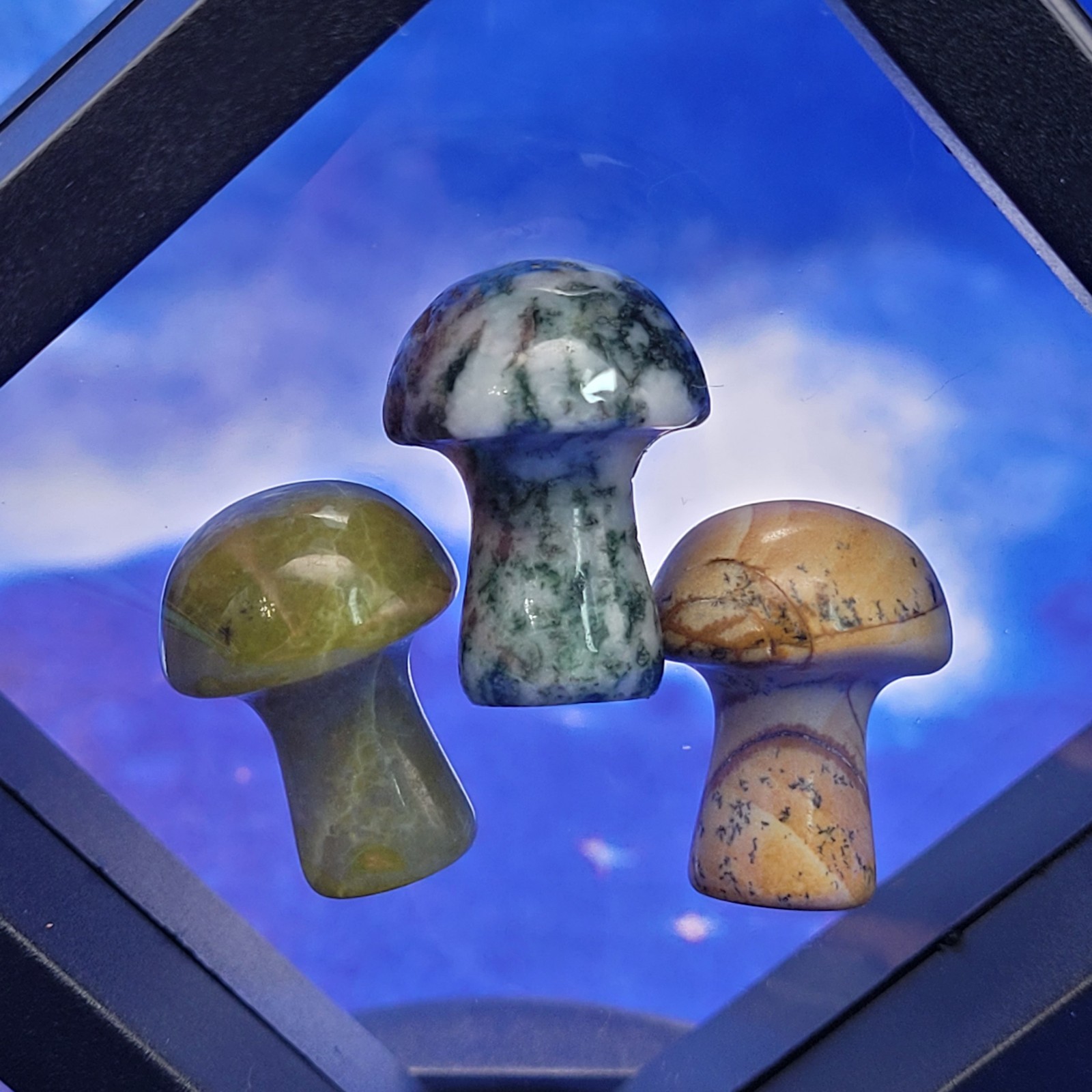 3 Magic Mushroom Carvings: Moss Agate/Picture Jasper/Serpentine 20mm w/Display