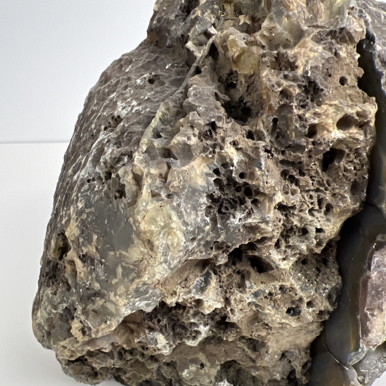 Geode Vibrant Beautiful Brazilian White Green Brown Agate Geode Bookends Rare