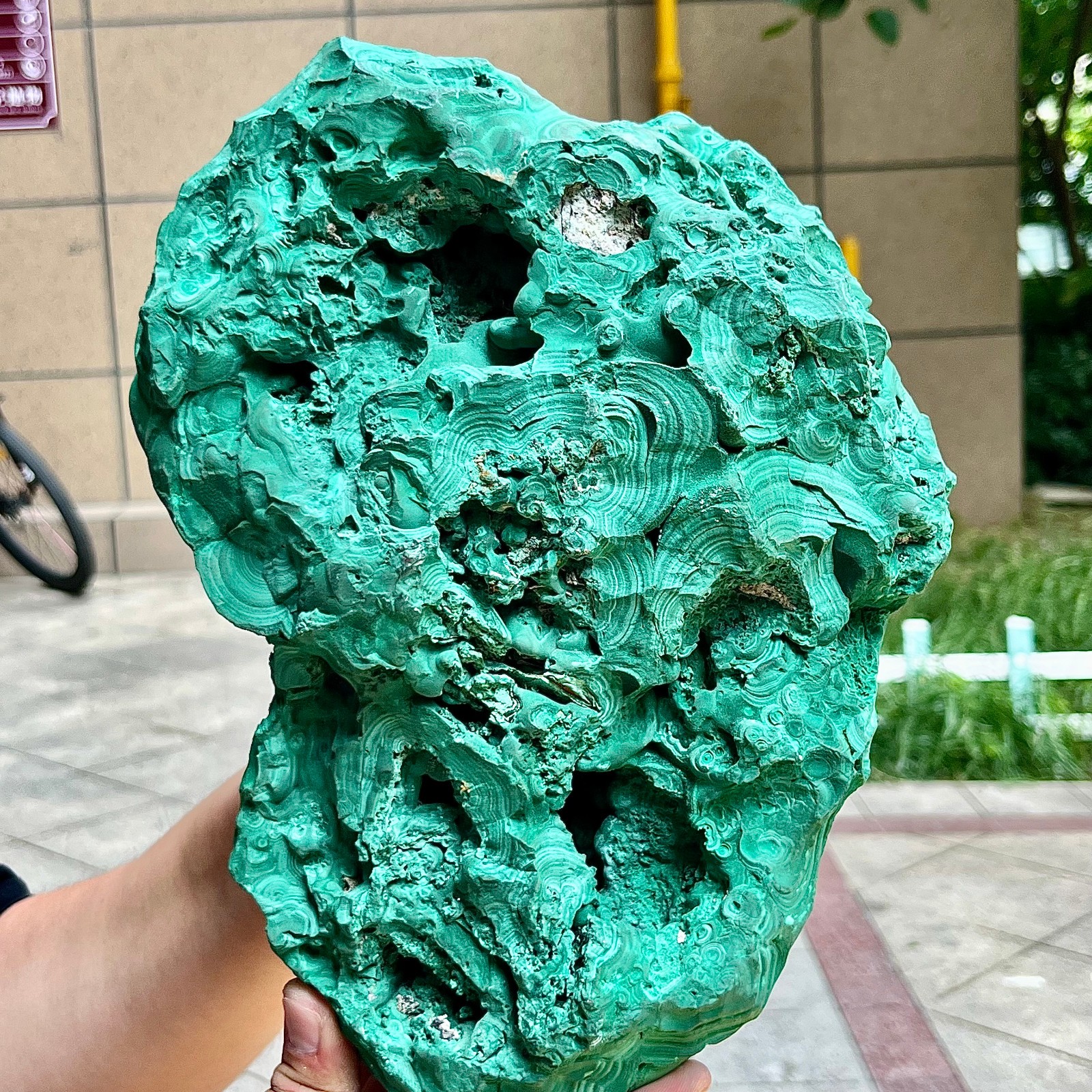 15.6 lb Congo Malachite Eye Pattern Partially Polished Freeform Raw Back Mineral