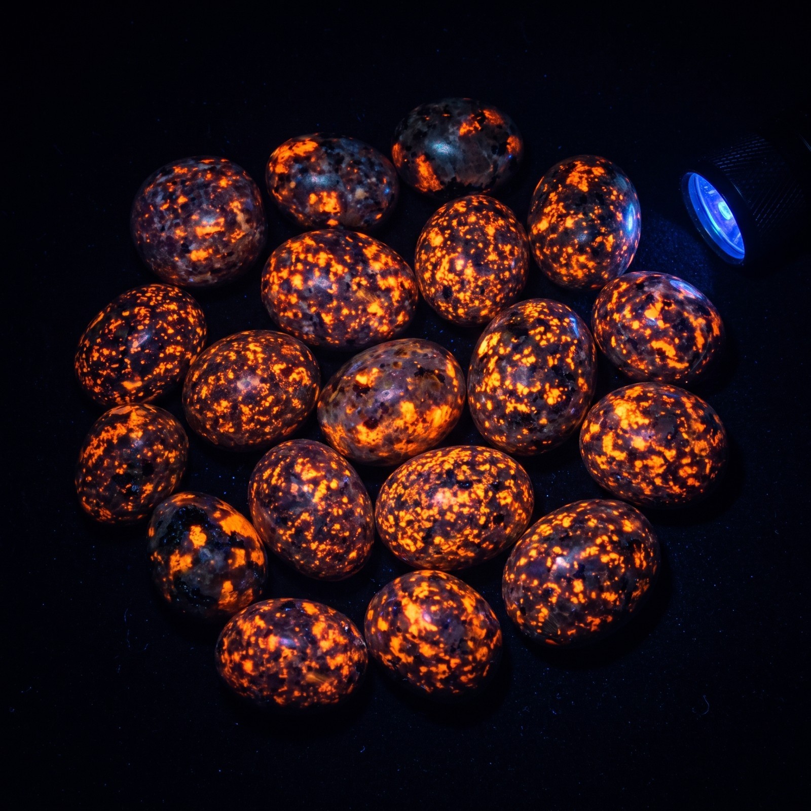 Natural Yooperlite Tumbled Stone UV Glowing Fire Rock Healing Crystal Pocket 20g