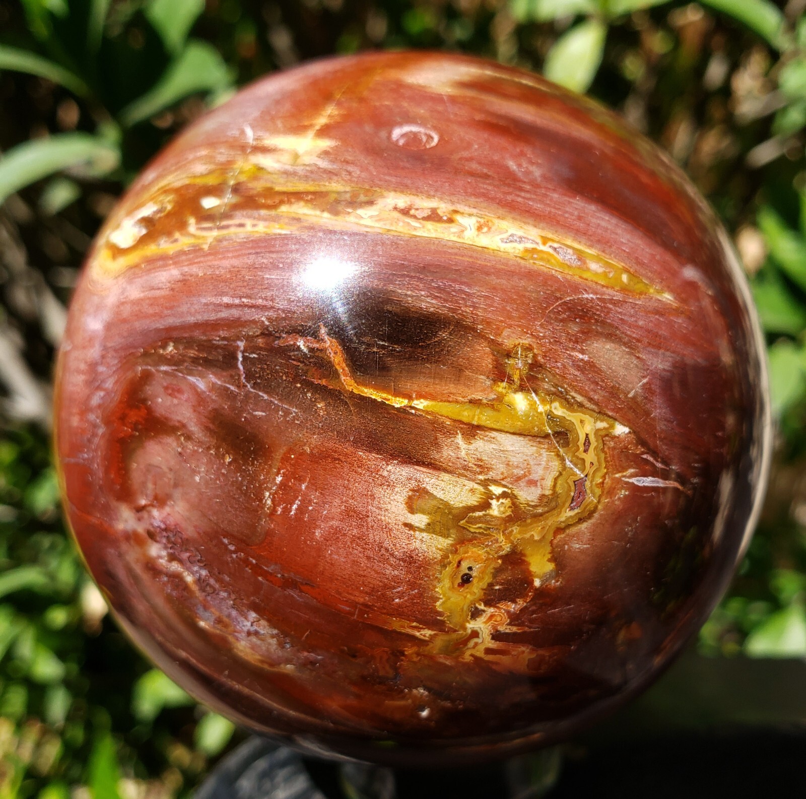 3.36″ Red Petrified Wood Sphere Orb Quartz Crystal Ball Fossil Mineral UV, 865g