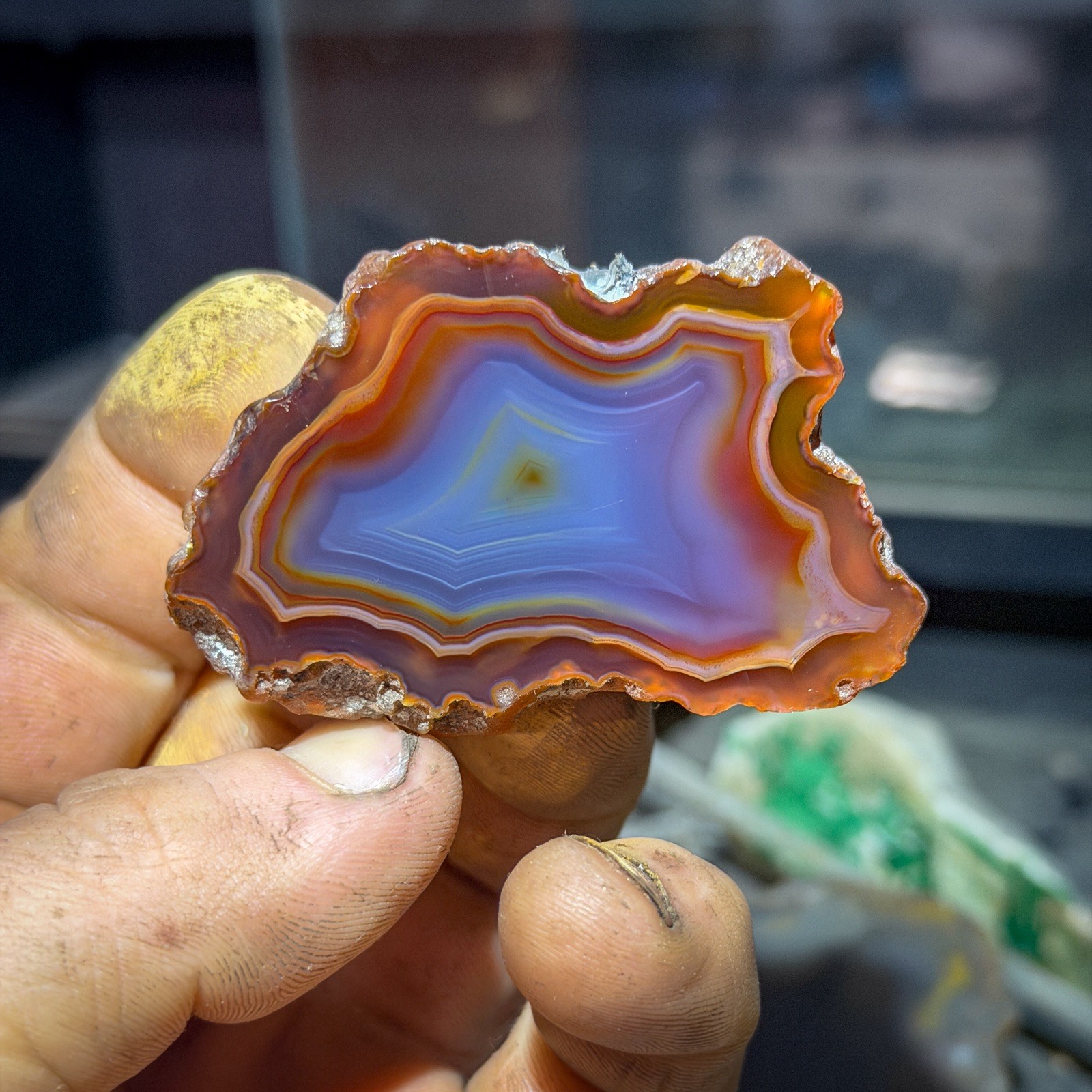 Fracture Free Malawi Agate Mirror Polished | Good Size Rare Multicolored *Africa
