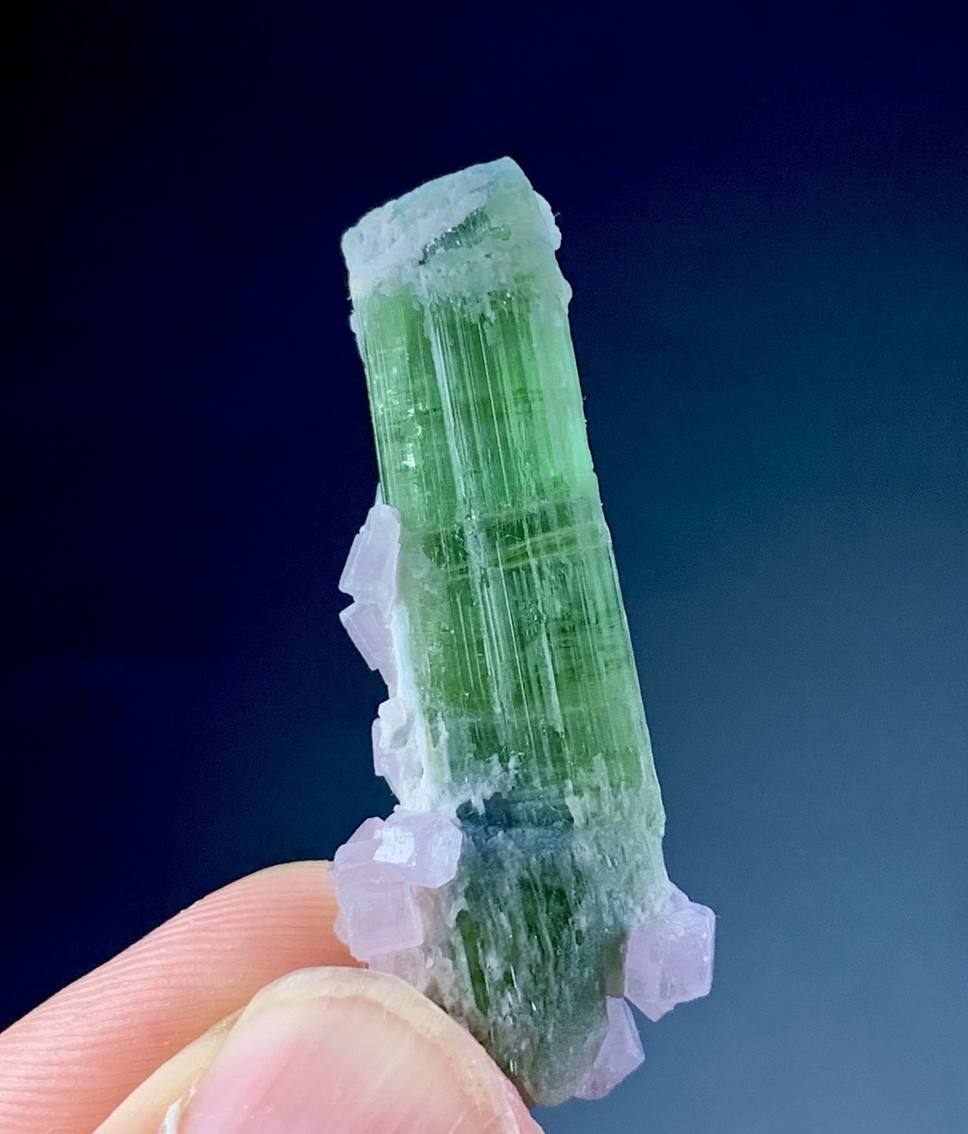 36 Ct Apatite Crystals Cluster On Tourmaline Matrix Specimen Afghanistan