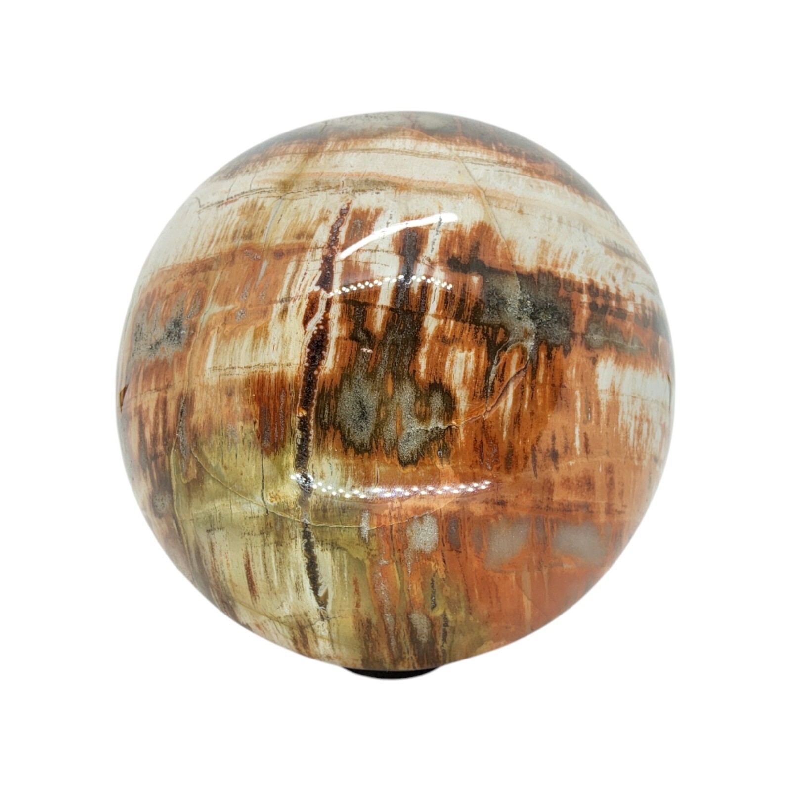 Petrified Wood, 3.75″, sphere, display specimen, #R-6529
