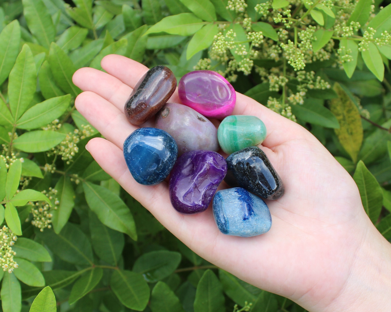 Dyed Tumbled Stones: Bright Colorful Mixed Agate Assorted Gemstone 1 lb Bulk Lot
