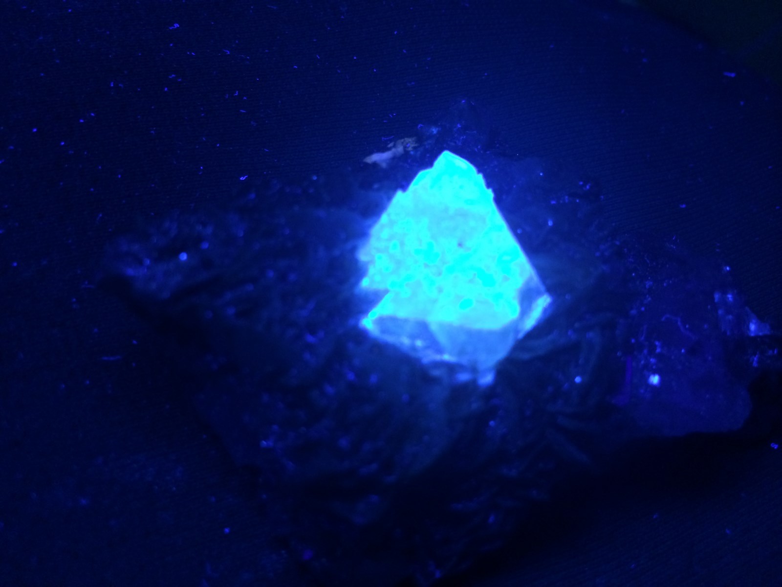KB: SW FL BRIGHT BLUE/WHITE XL OF SCHEELITE IN MATRIX, XUEBAODING MINE, CHINA