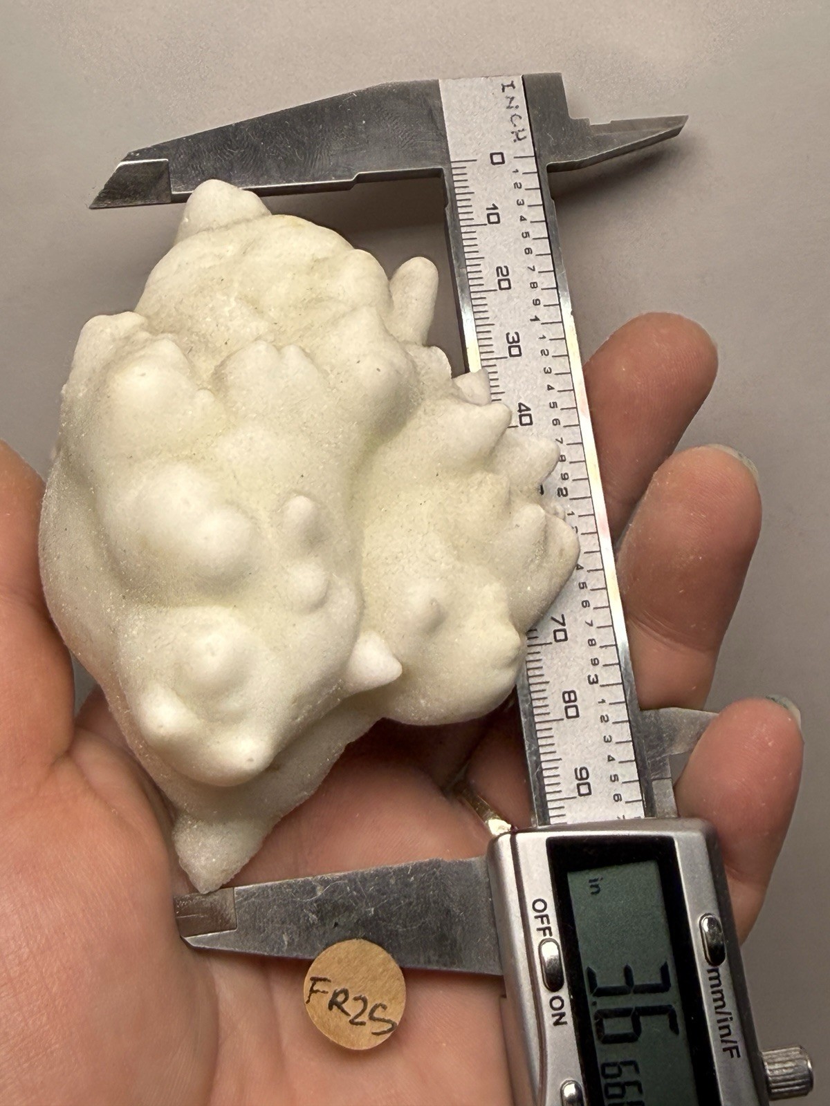 Superb White Flos Ferri Aragonite “Flower of Iron” | Lom Vitošov, Czech Republic