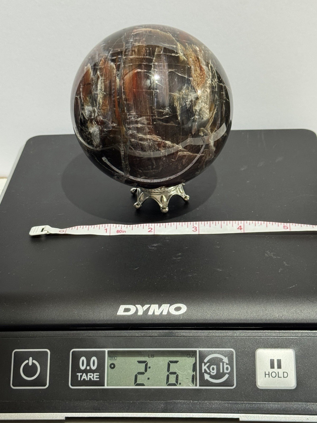 Petrified Wood Sphere 3.75” Natural Stone Carving