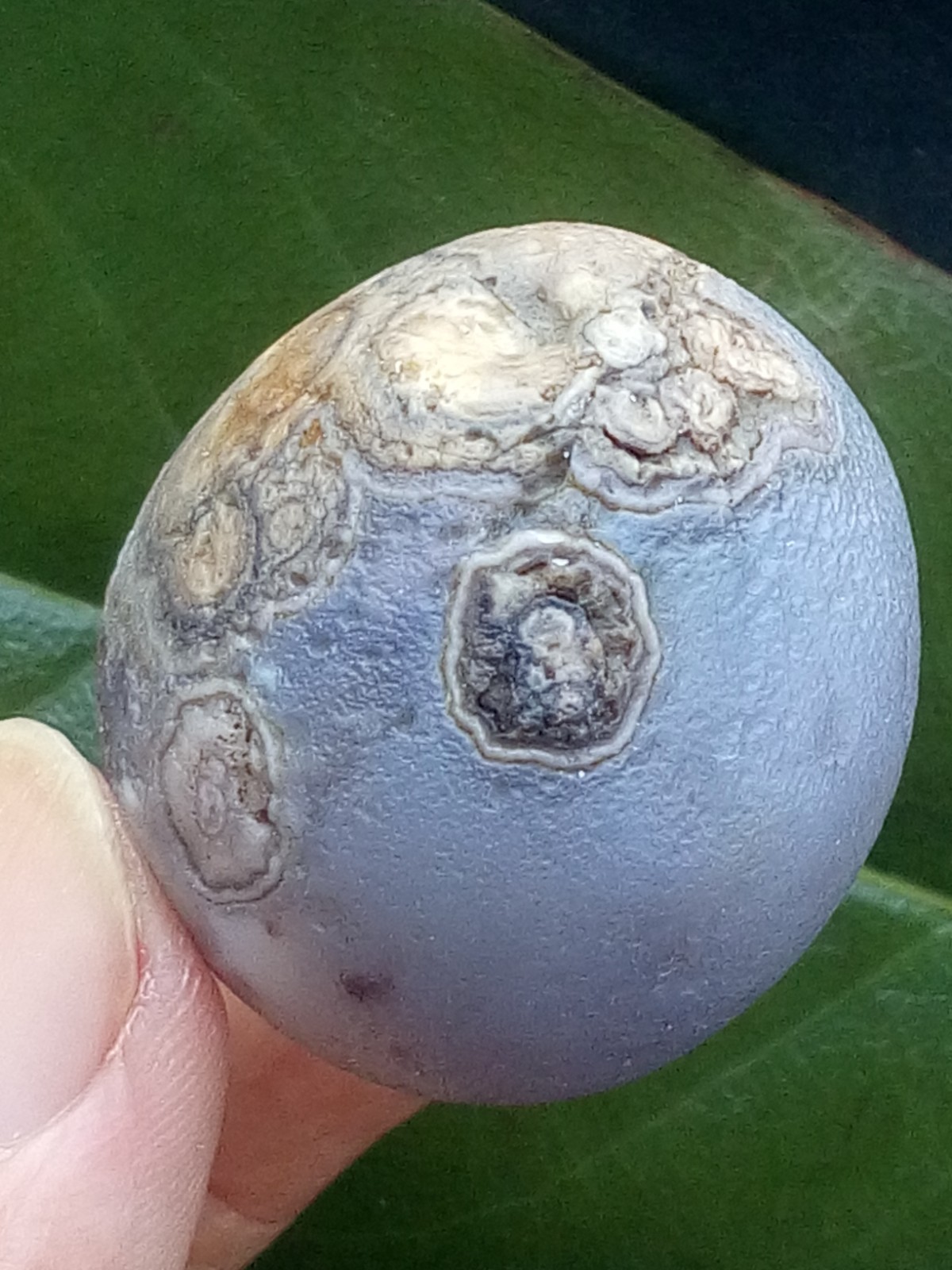 36mm Natural agate Gobi agate eye agate stone collection Landscape stone