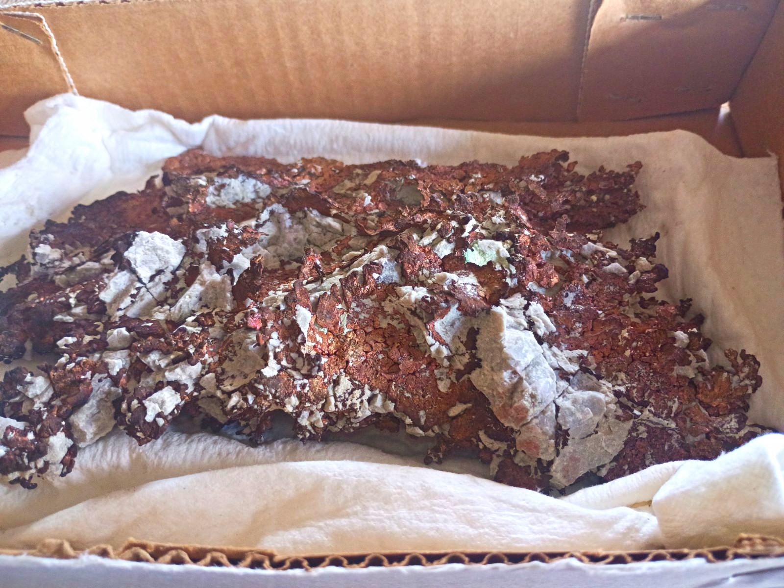 Extra Large Native Copper Mineral Specimen – 2.5 lbs – Ray Mine, Arizona Heavy