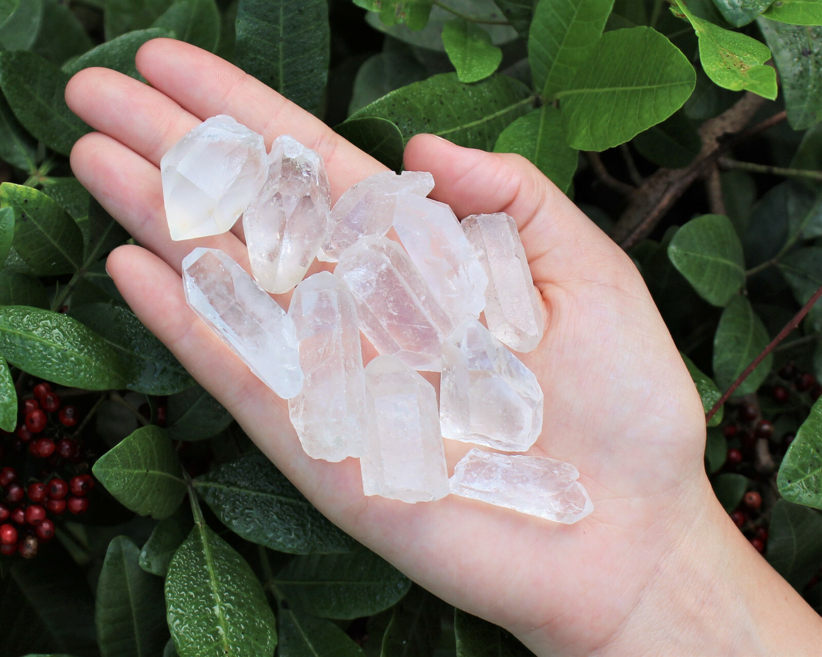 5 lb Natural Clear Quartz Crystal Points Wholesale Bulk Lot (Healing Crystals)