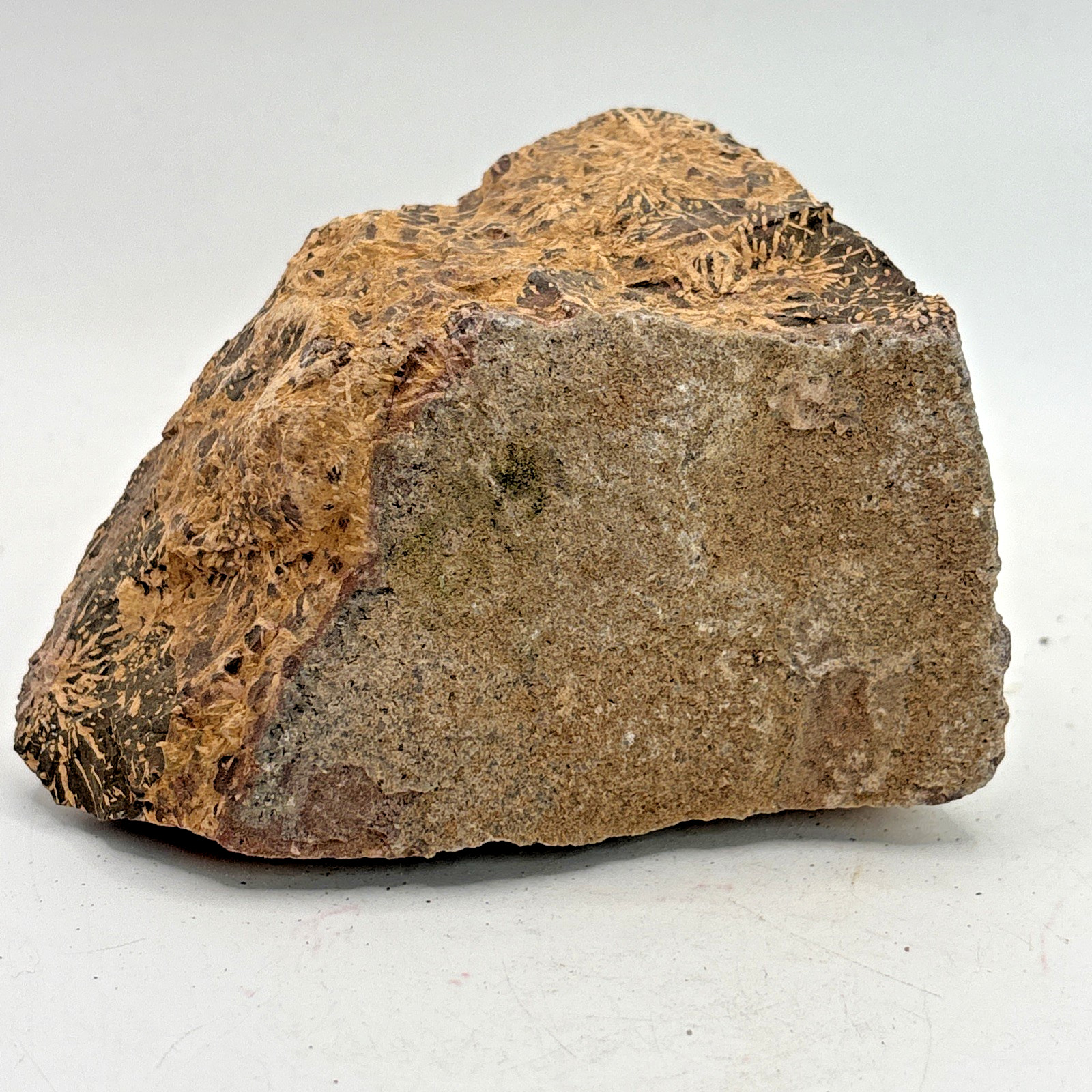 Beautiful Spider Jasper Chrysanthemum Specimen 352 Grams