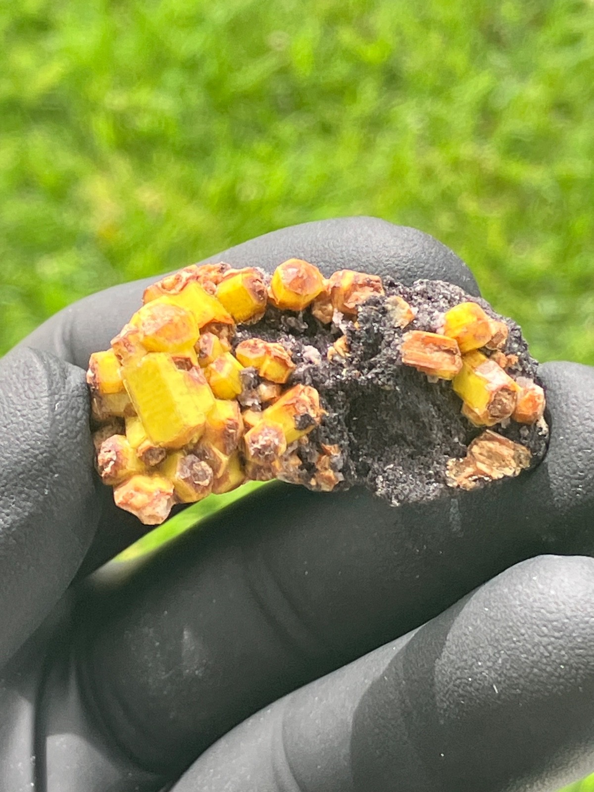 Rare Ettringite bright lemon yellow crystsls Famous N’Chwaning II Mine S. Africa