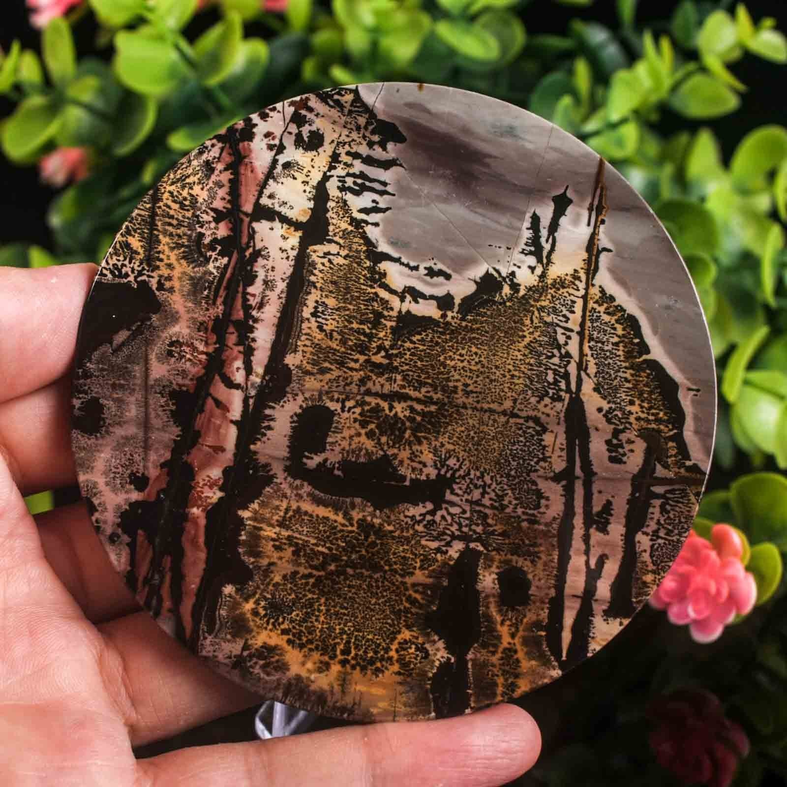 Picture Jasper Slab Natural Stone Display Crystal Specimen w/Stand 3.7″ 4.4oz