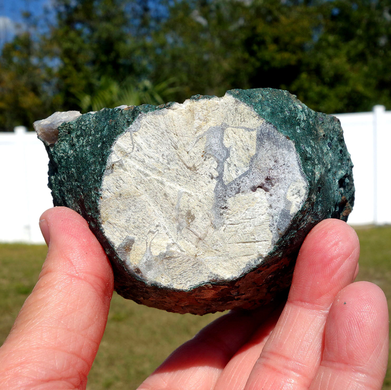 White DOGTOOTH Calcite in AMETHYST Crystal Point Stalactite Quartz Cluster