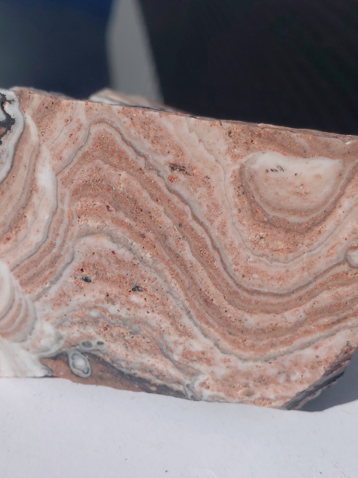 Zebra Calcite Self-Standing Display 1 1/4 Lb Dendritic Psychedelic Crisp Bands