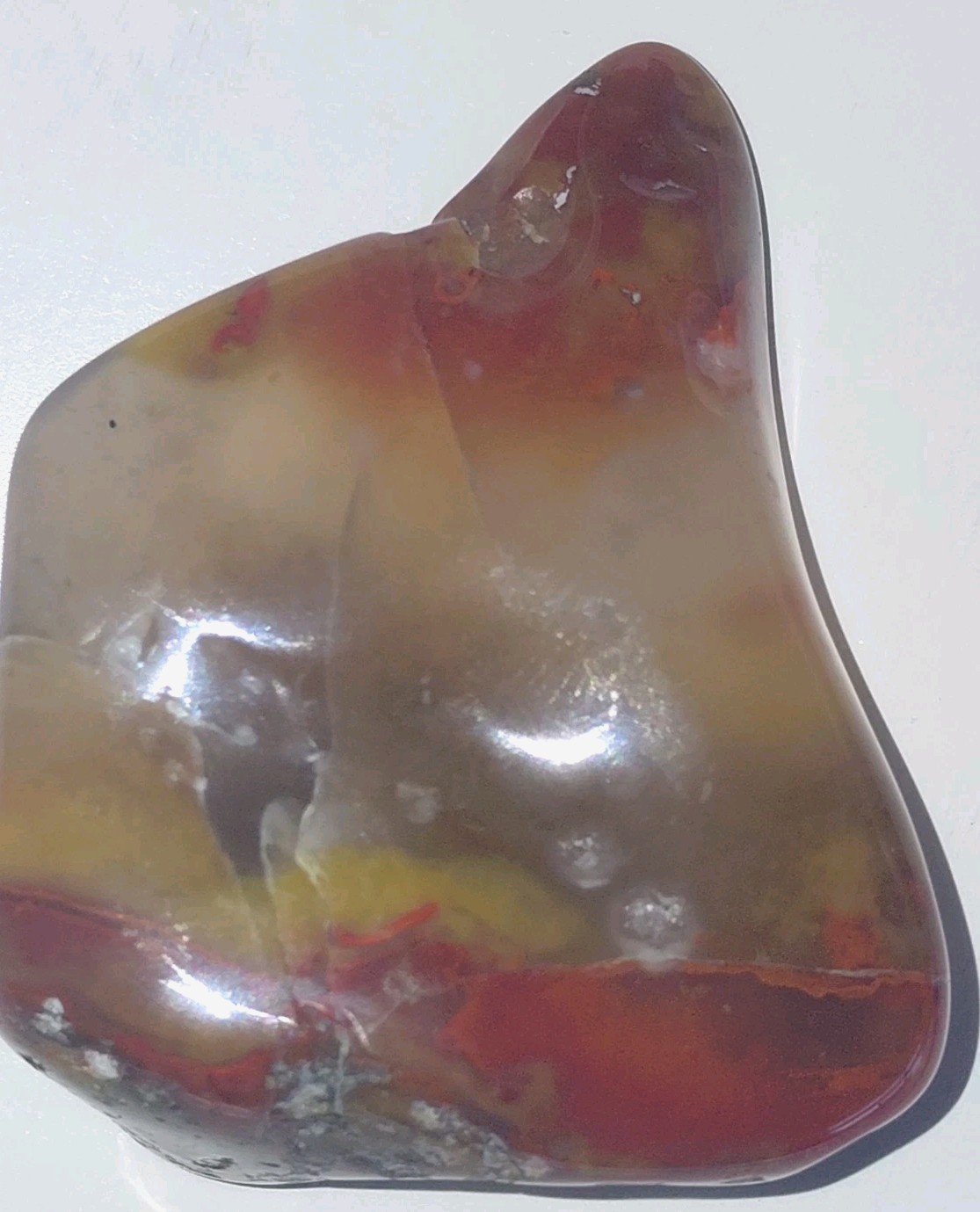Polished Yellow Cat UV+ Agatized Petrified Wood Limb Cast Mineralization @ Depth