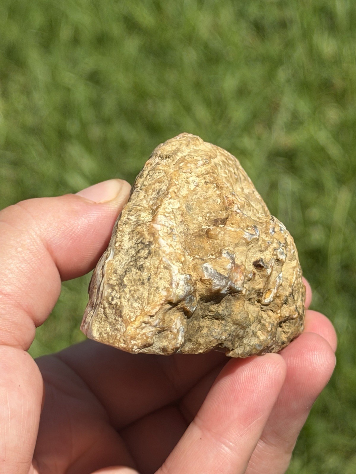 Vibrant Kentucky Agate Specimen – Irvine, KY | Rich Yellow, Red, & Smoky Purple