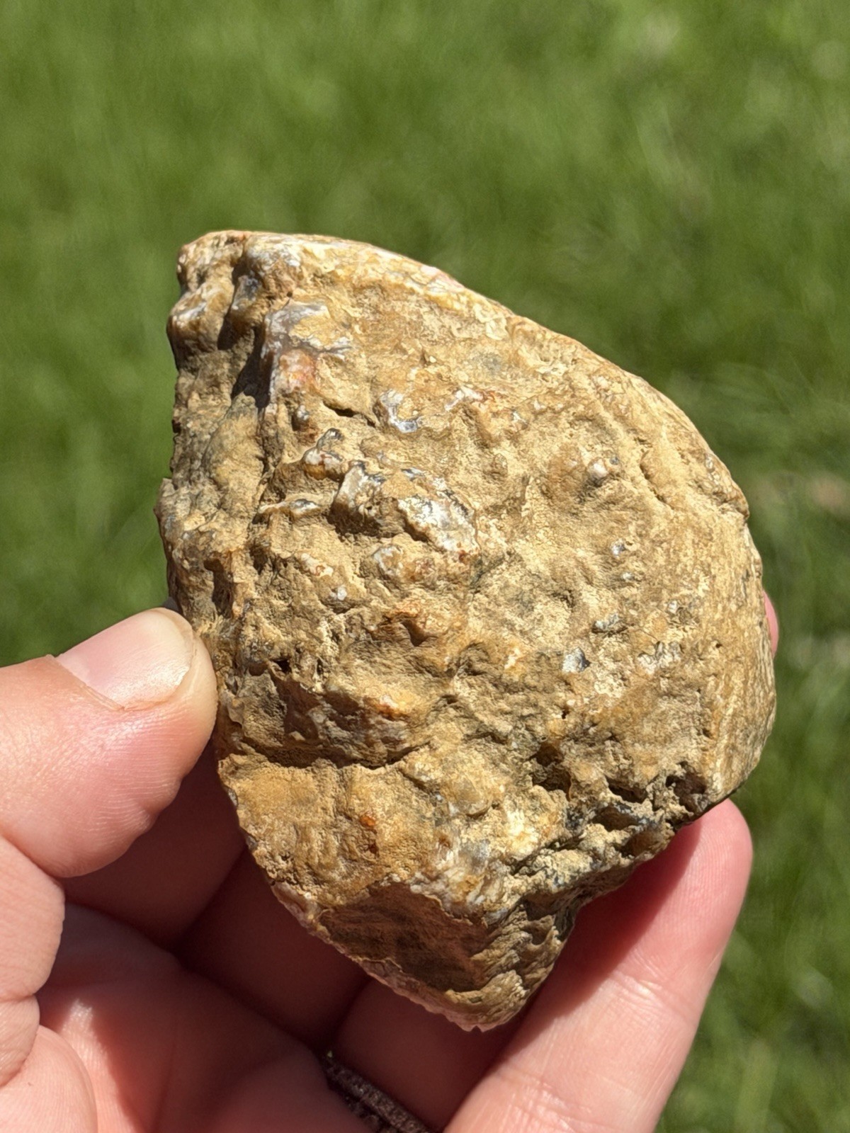 Vibrant Kentucky Agate Specimen – Irvine, KY | Rich Yellow, Red, & Smoky Purple