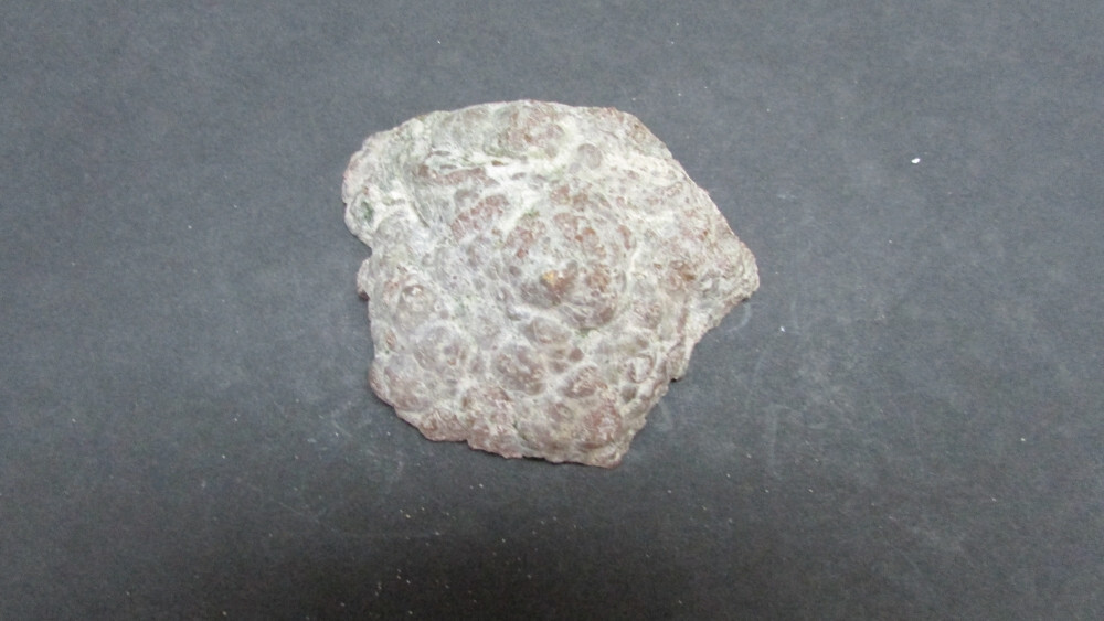 GEODE BROWN AND WHITE CRYSTAL CUT PORTION 3″ X 3″ X 2″