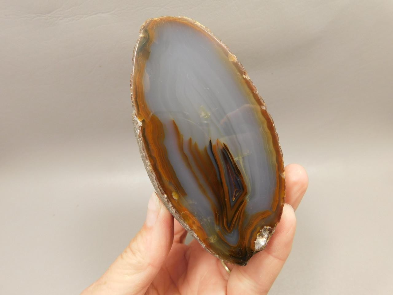 Brazilian Piranha Agate Collector Polished Rock Nodule #O15