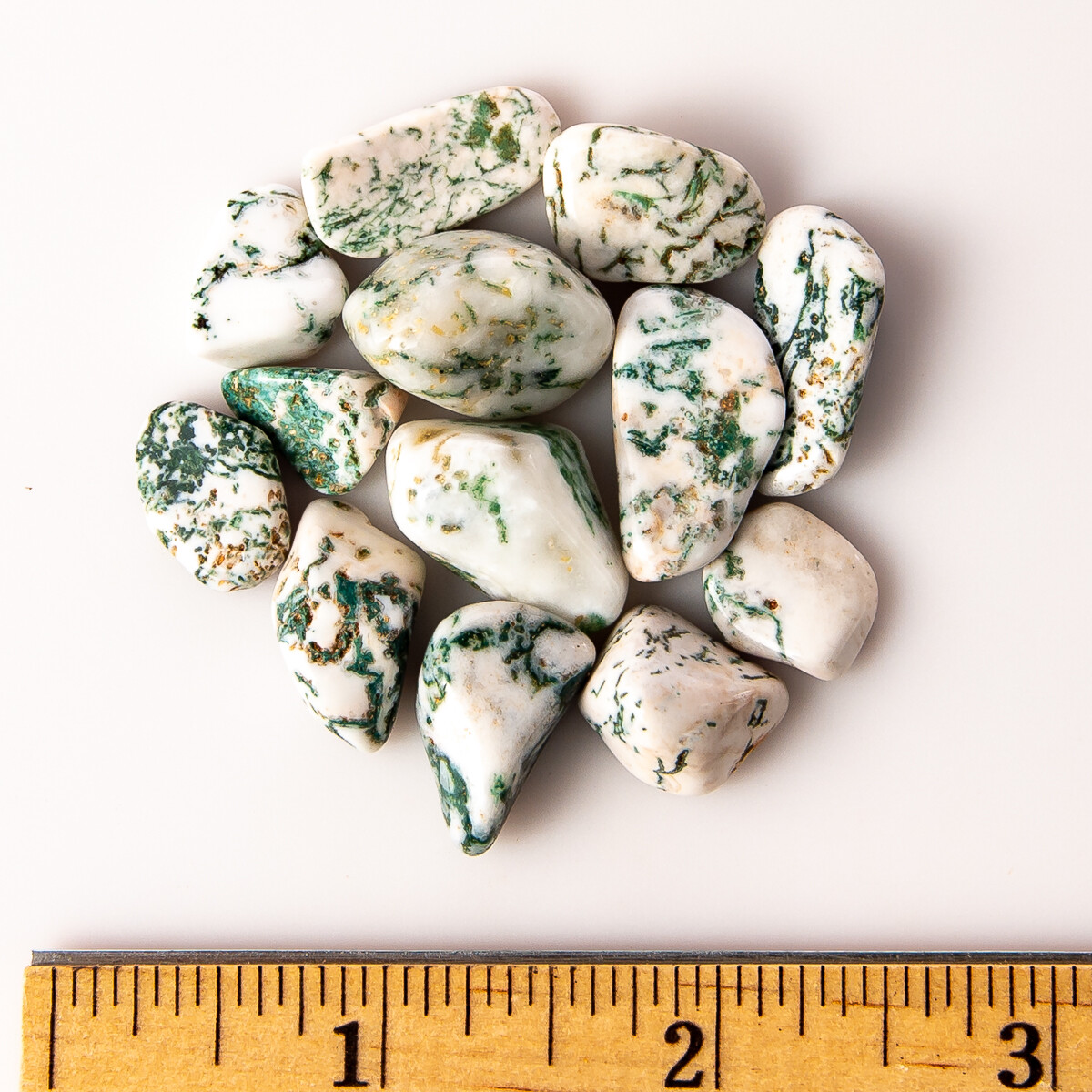 25g Tumbled Small Tree Agate Gemstone Crystals 10-20 Stones Dendritic Specimens