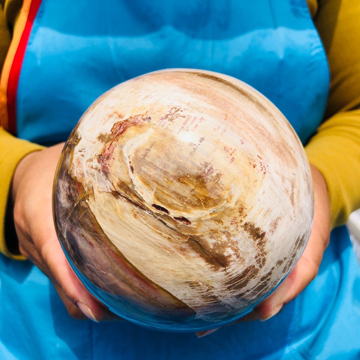 4.59LB Natural Petrified Wood Sphere Polished Crystal Ball reiki healing
