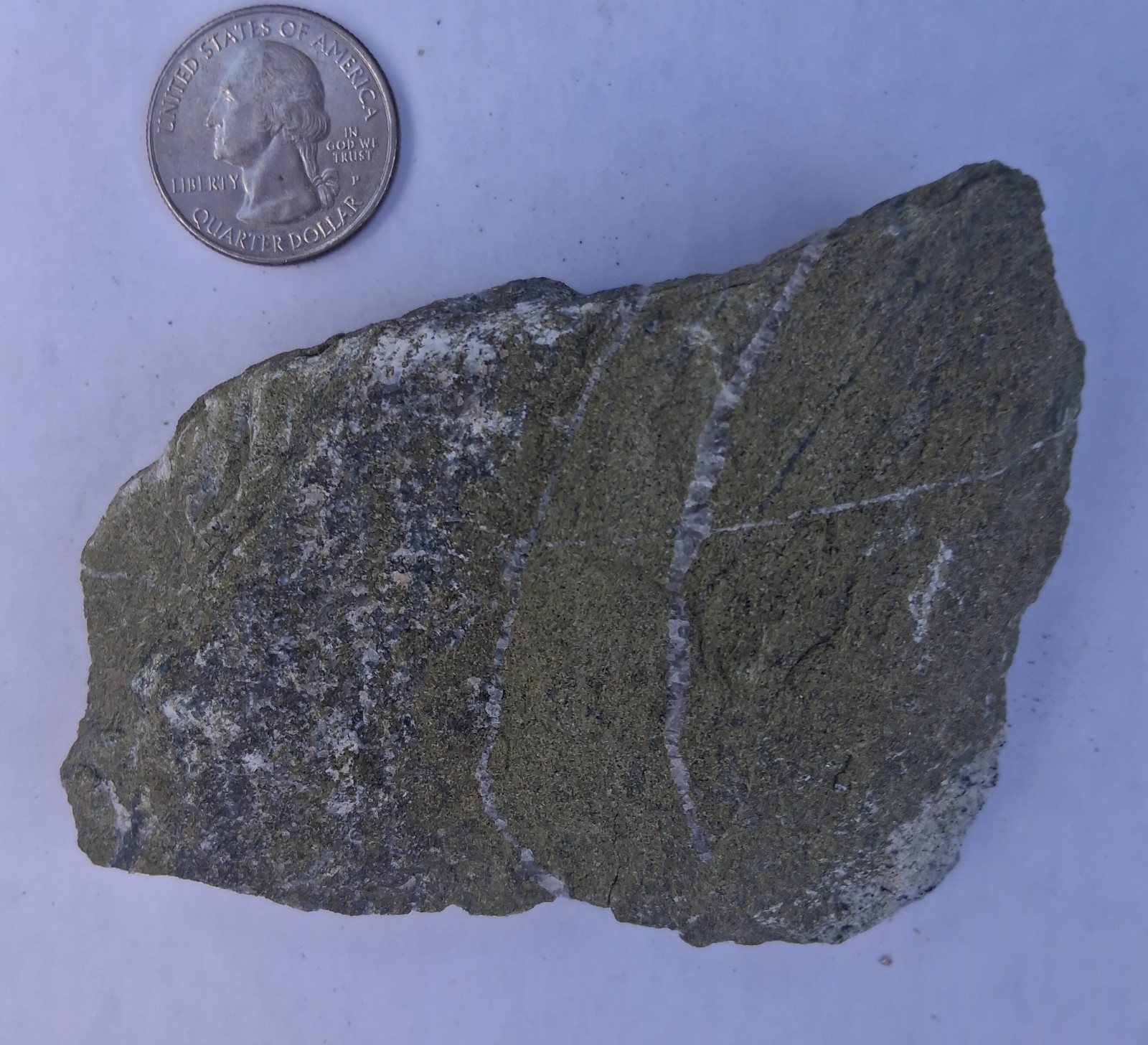 Epidote Gneiss rock specimen Metamorphic