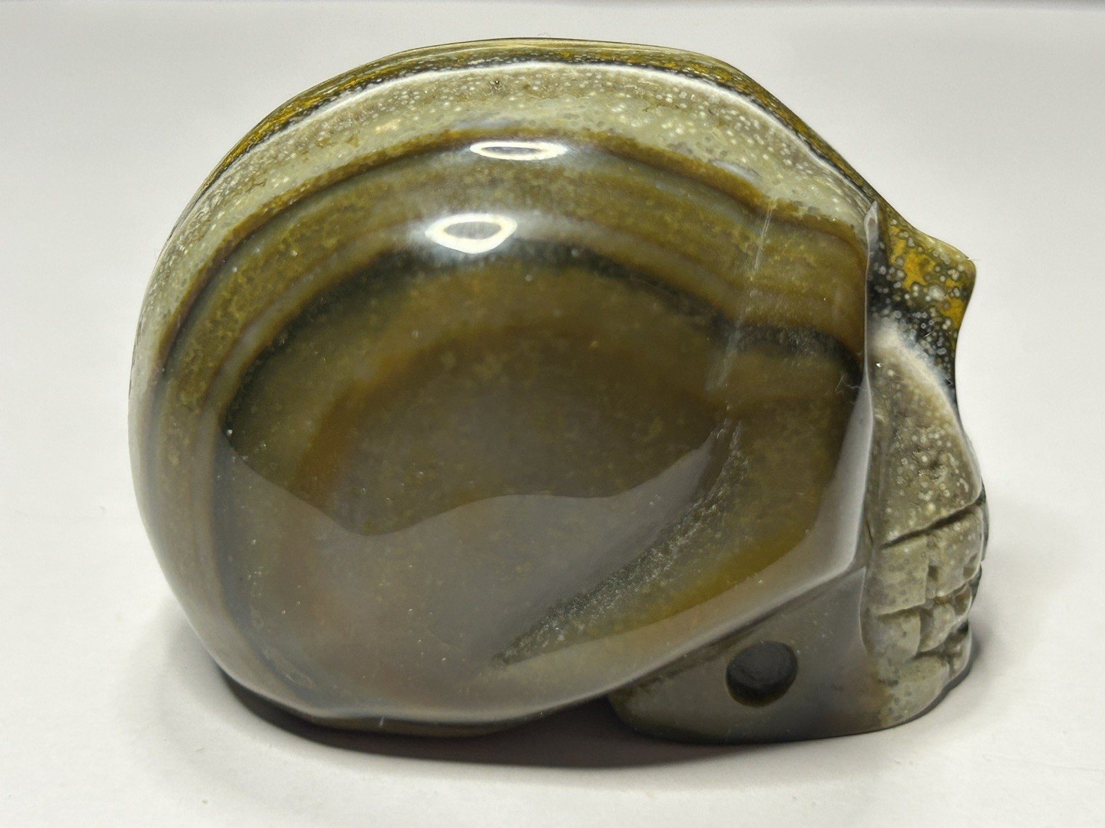 Banded Jasper Skull – Green Brown Yellow White 175g/2.3″