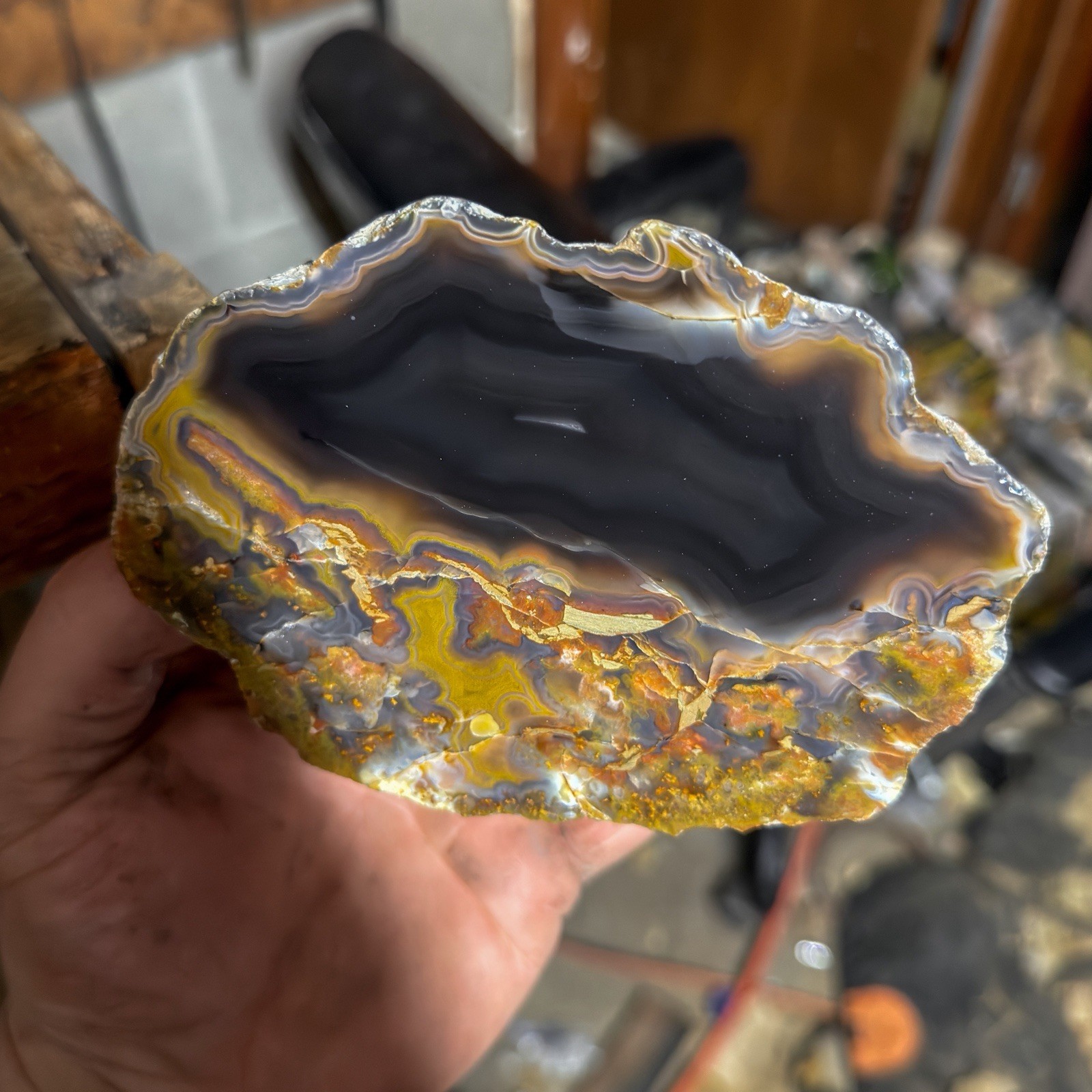 XL 2+ Pounds Kentucky Agate | Great Old Stock Piece I Recently Polished