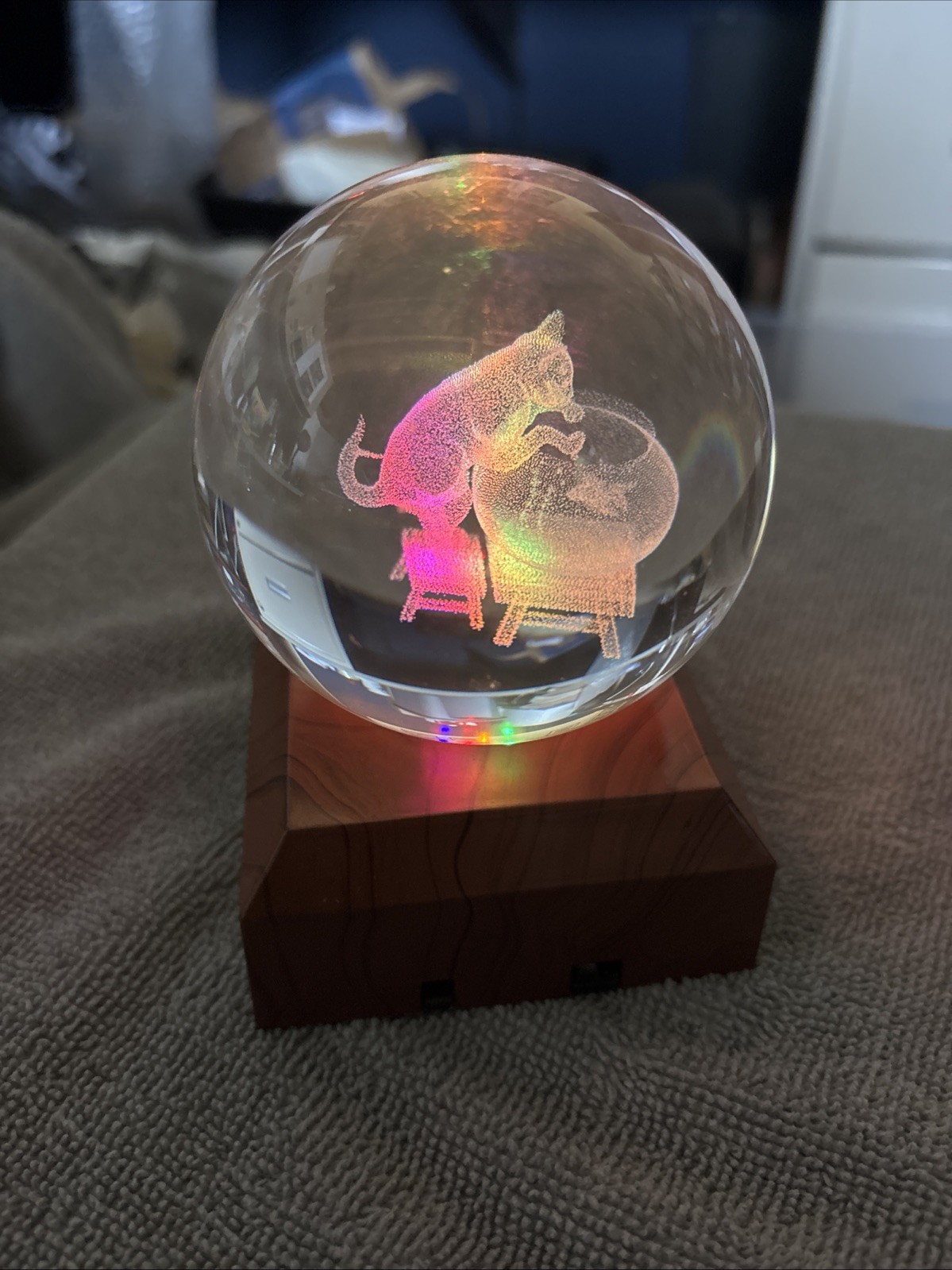 Crystal 3D Etched Cat Glass Orb With Light Stand