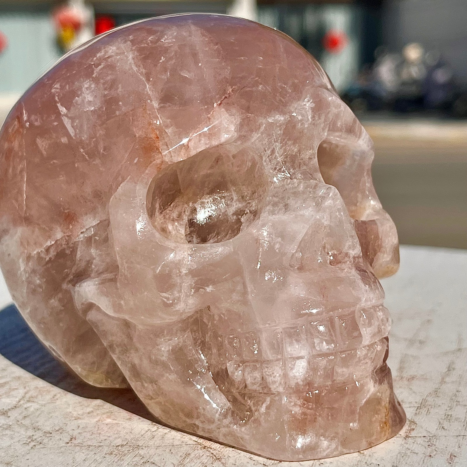2.71LB Red Gum Flower Skull Carving | Handmade Carving | Healing Energy