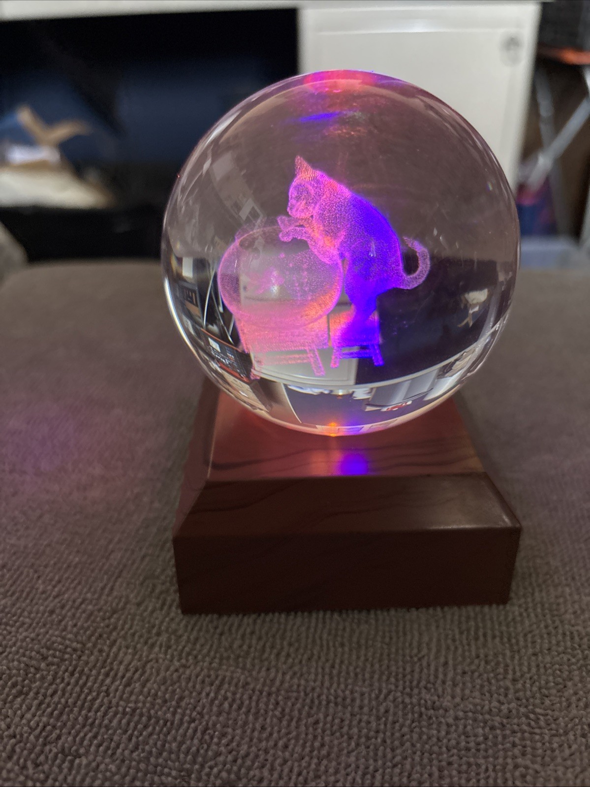 Crystal 3D Etched Cat Glass Orb With Light Stand