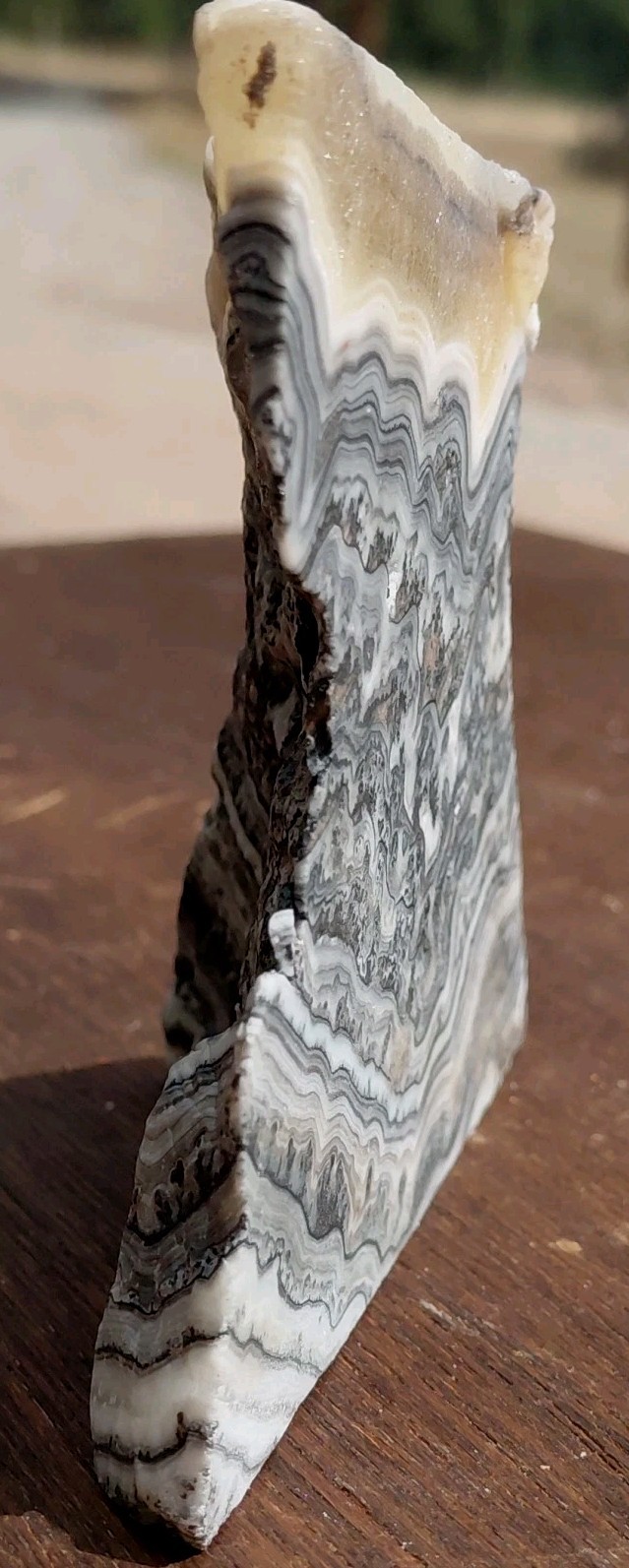 Zebra Calcite Self-Standing Display Band Dendrite 3 3/4×4×1 1/4UVReactive 1/2 Lb