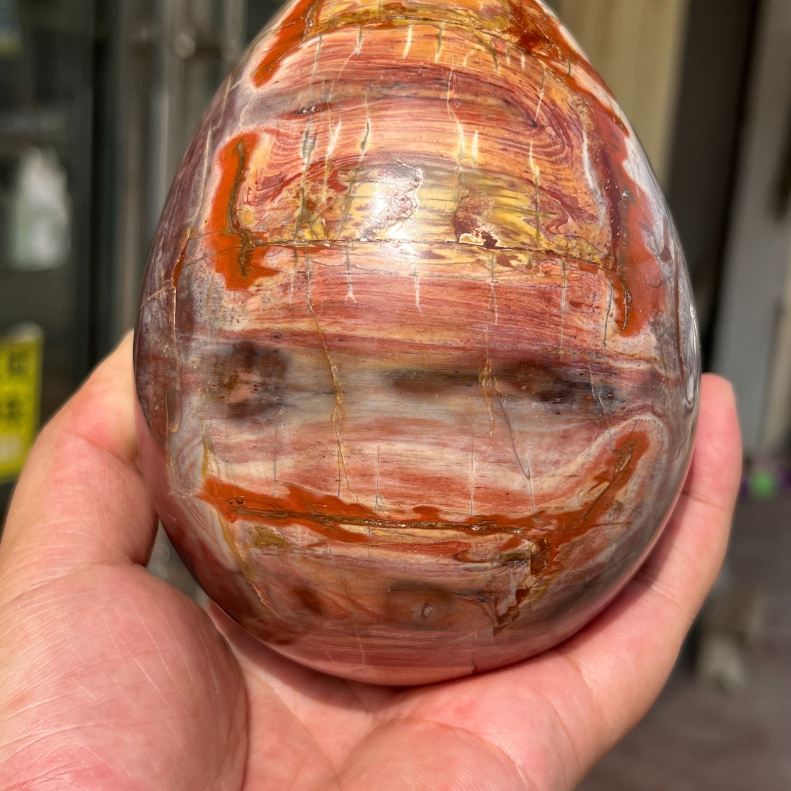 3.28LB Large Amazing Natural Petrified Wood Fossil Stone Egg Crystal Healing