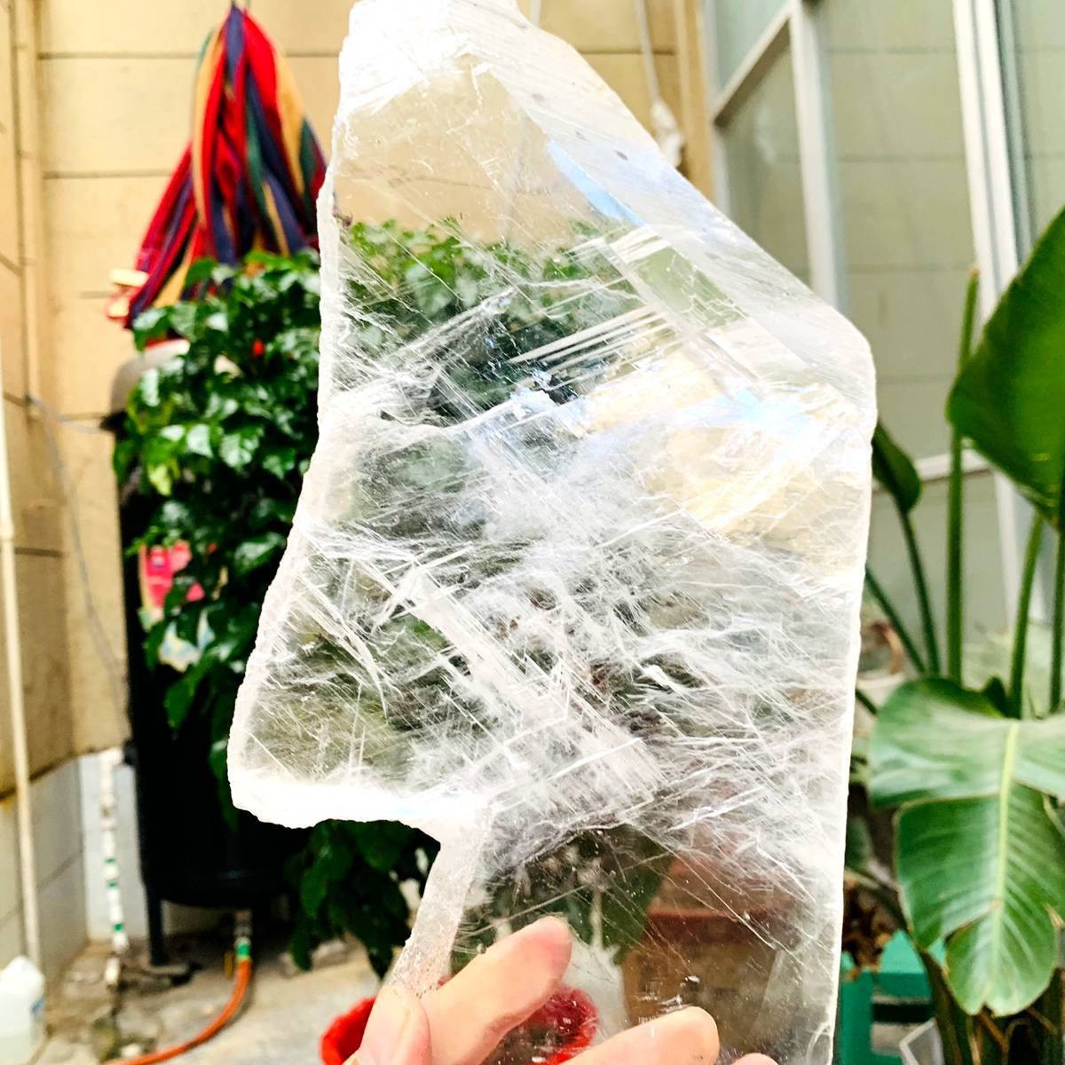 2.84LB Natural Clear Transparent Selenite Slab Gypsum Crystal Mineral Specimen