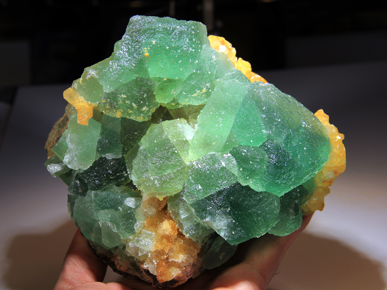 5.75″ Golden Barite on Green Fluorite, Super Color Contrast! Hunan, China! FL265