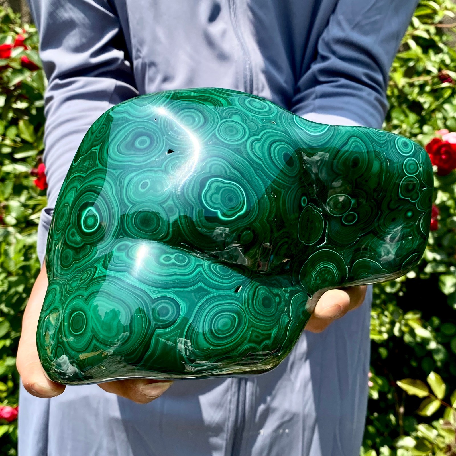 8.5LB Natural glossy Malachite egg transparent cluster rough mineral sample