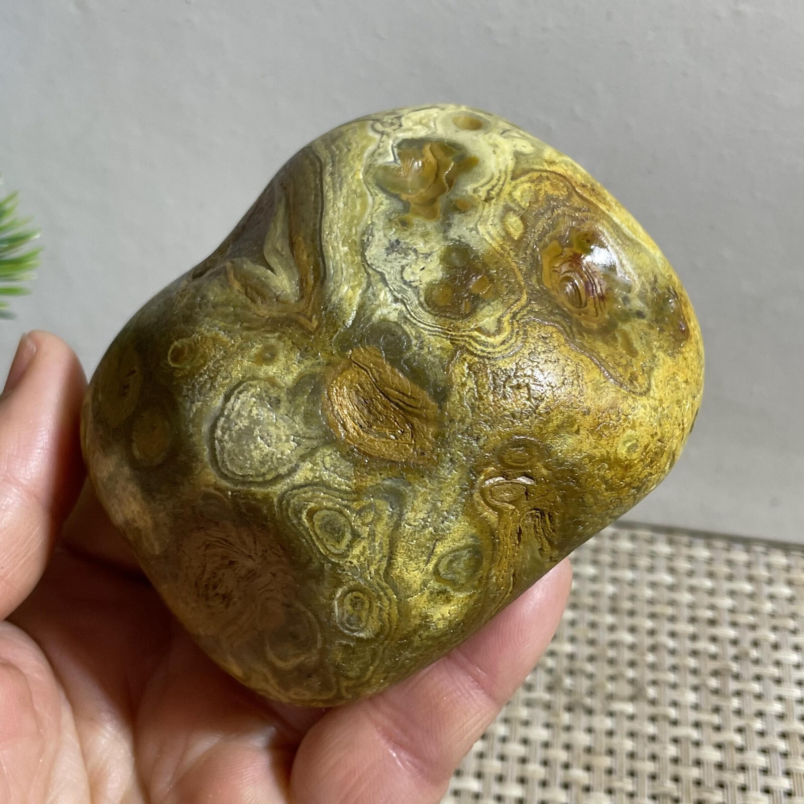 352g Bonsai Suiseki- Gobi Agate Eyes Stone-Rare Stunning Viewing