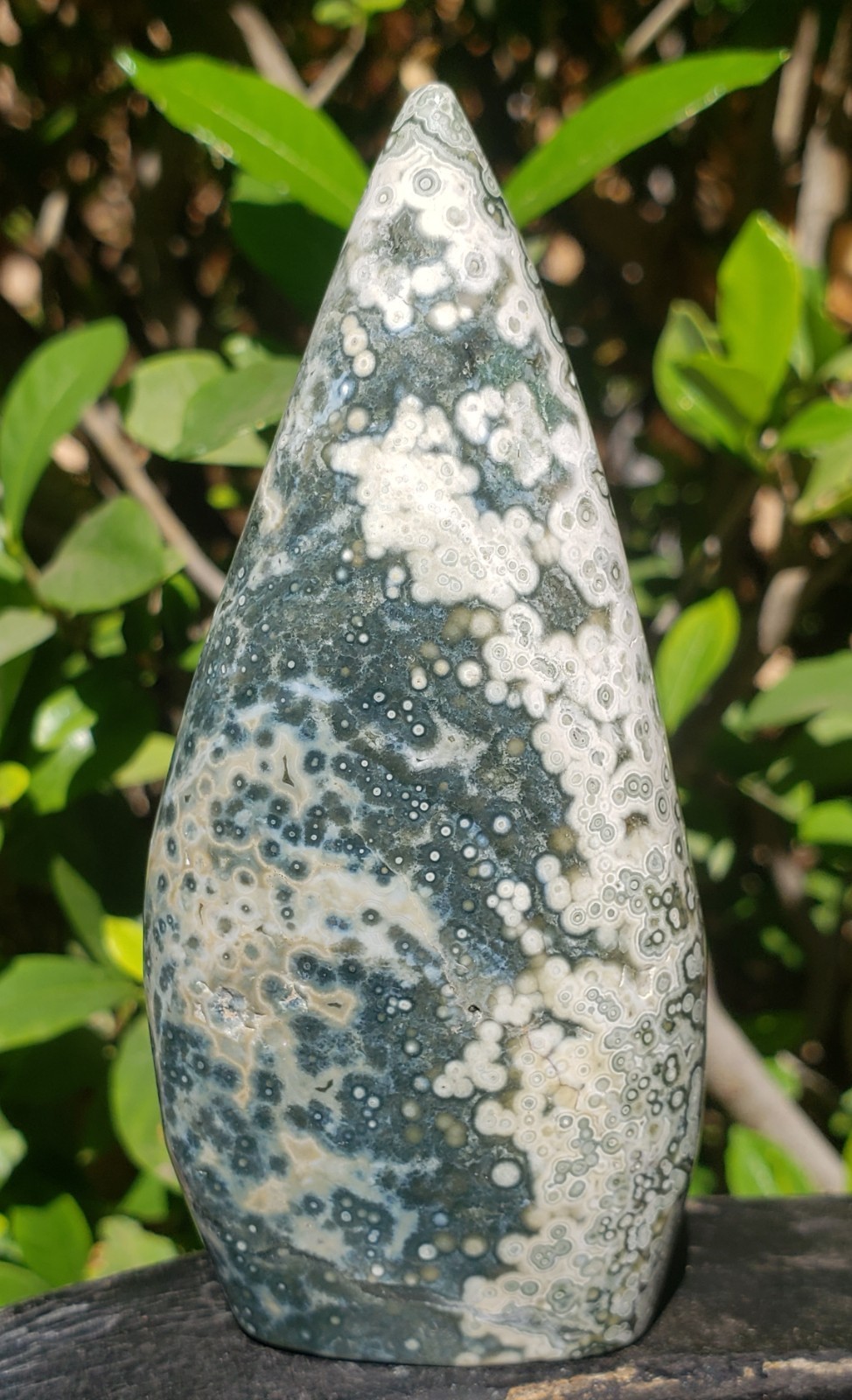 3.75″ Natural 8th Vein Orbicular Ocean Jasper Crystal Quartz UV Tear Free Form