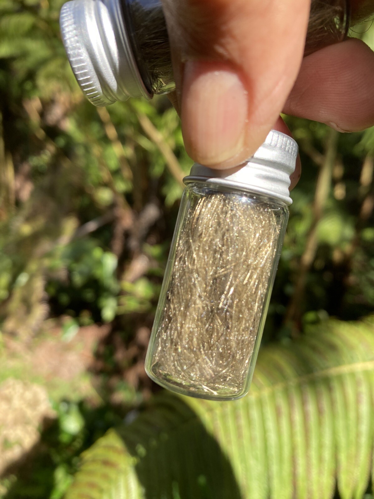 Olivine Crystal Volcanic, Pele’s Hair, Olivine Mineral Glass Specimens ￼10ml.