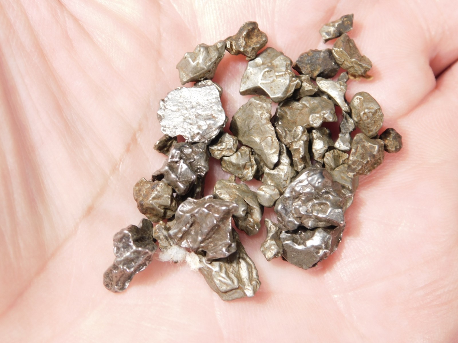 Big Lot of Little Campo Del Cielo METEORITES 100% Authentic Argentina 21.8gr