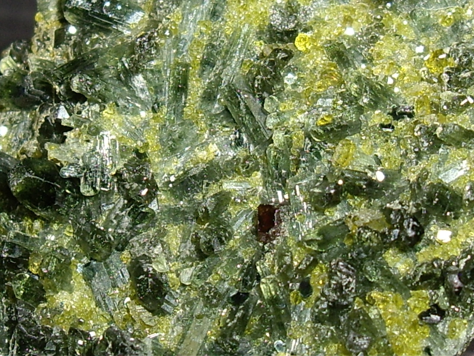 Awesome Magnetite, Vesuvianite, Garnet, and Diopside Crystals on Matrix 23.3g