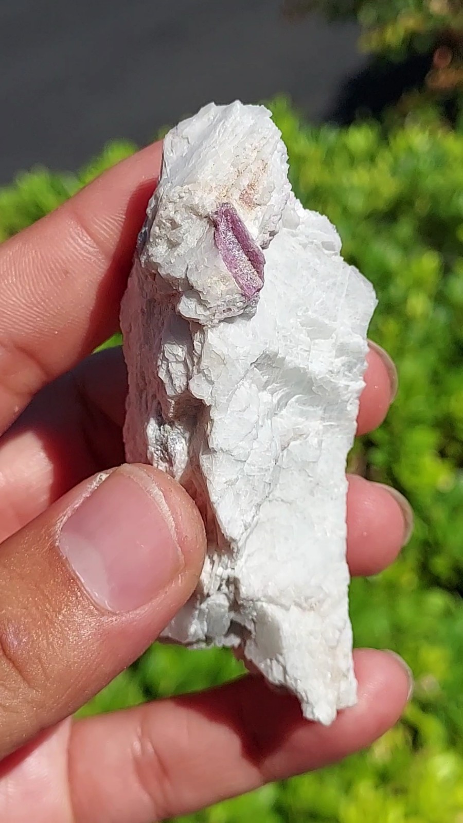 GEMMY PARAIBA CUPRIAN BLUE PINK TOURMALINE COPPER BEARING BATALHA MINE BRAZIL