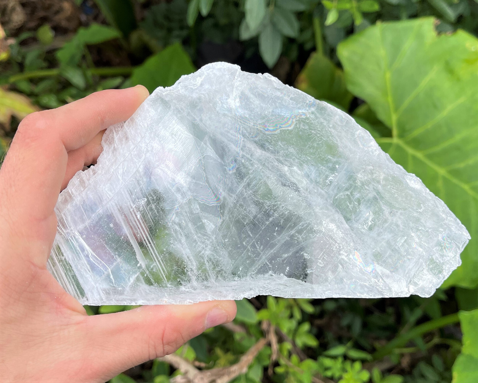 EXTRA LARGE Natural Selenite Slabs, 1-2 lb Stunning Raw Selenite Slices + Stand