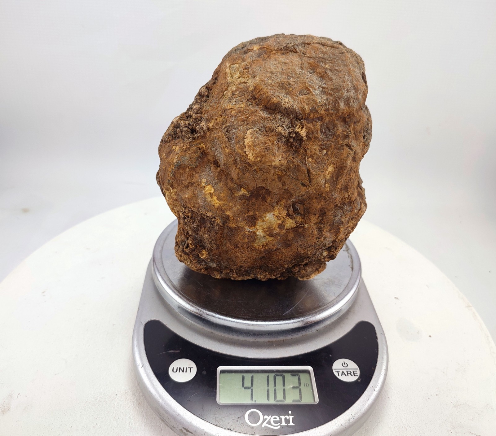 6.5″ Unopened Geode Hollow Kentucky Crystal Quartz Rattler 4.1 lb Break Your Own